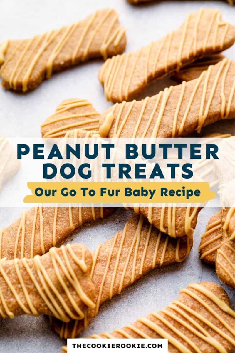 dog treats pinterest