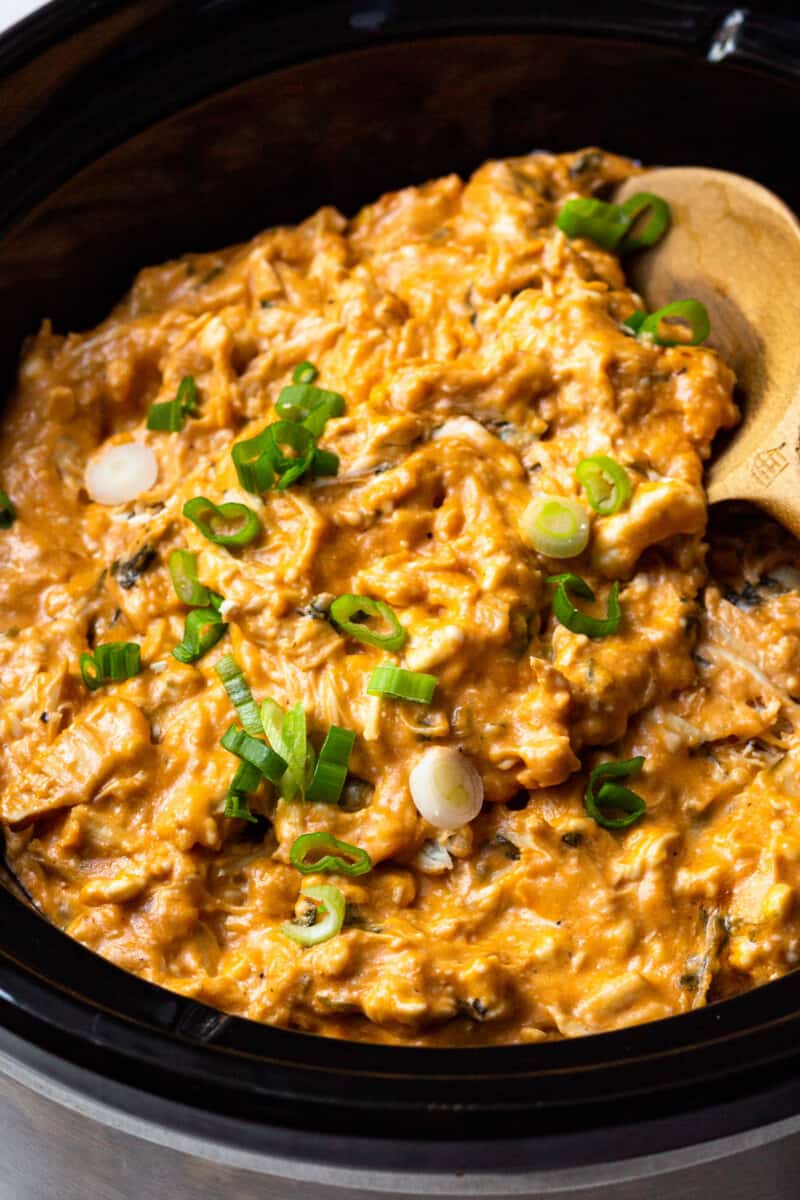 bbq chicken dip in a crockpot