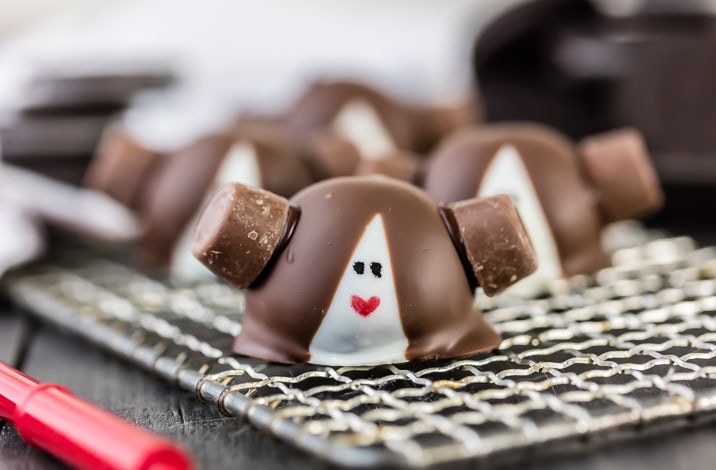 princess leia oreo truffle front view on wire rack