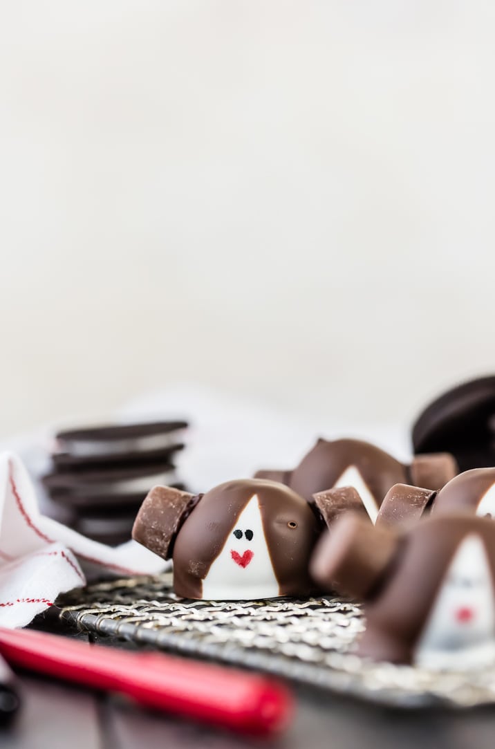 princess leia truffles on a wire rack on a table