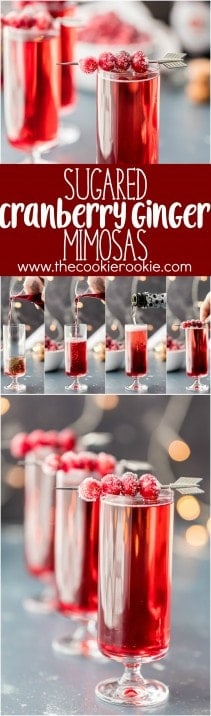 Sugared Cranberry Ginger Mimosas, ONLY THREE INGREDIENTS! Easy holiday cocktail recipe perfect for Thanksgiving, Christmas, and Valentine's Day! Pretty Red Cocktail!