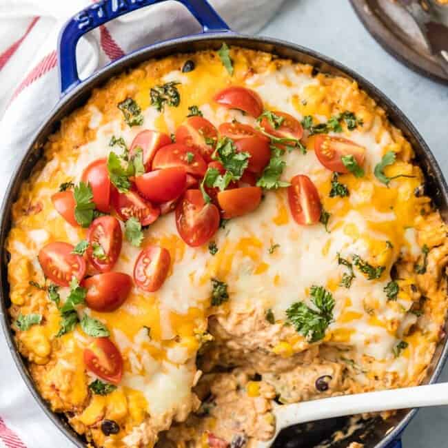 You family will love this ENCHILADA STUFFED PEPPER CASSEROLE, an easy weeknight meal so delicious and full of flavor! Customize with your favorite ingredients to make it your own. AMAZING!