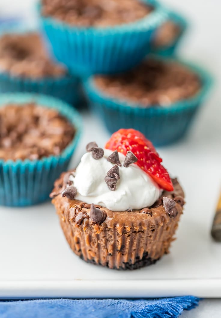 mini nutella cheesecake topped with whipped cream , chocolate chips