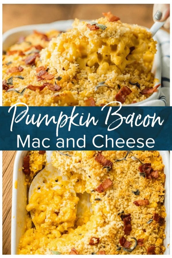 Pumpkin Mac and Cheese is the ULTIMATE comfort food for Fall. It's like autumn in a casserole dish! This baked mac and cheese with bacon is loaded with cheese, pumpkin, sage, bacon, and more cheese. It's one of the best macaroni and cheese recipes ever!