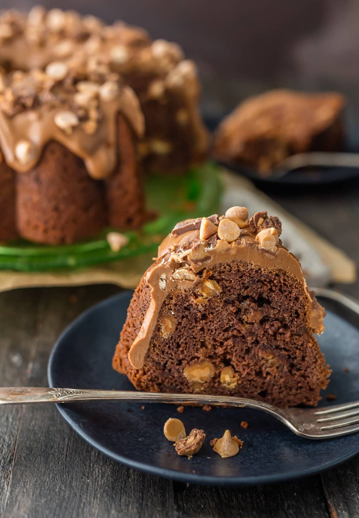 A slice of chocolate peanut butter cake filled with peanut butter chips