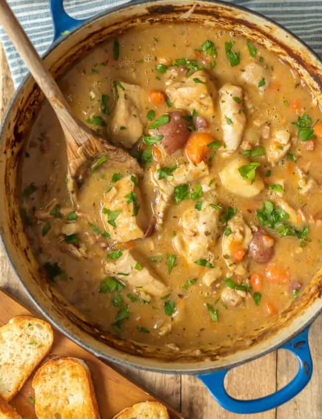 white wine chicken stew in dutch oven