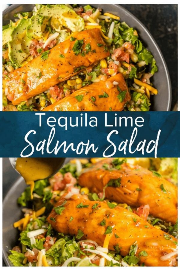 This TEQUILA LIME SALMON SALAD is the perfect hearty and delicious salad for any occasion! Salmon topped with a spicy tequila lime marinade and laid atop a bed of lettuce, corn, beans, avocado, pico, and more!