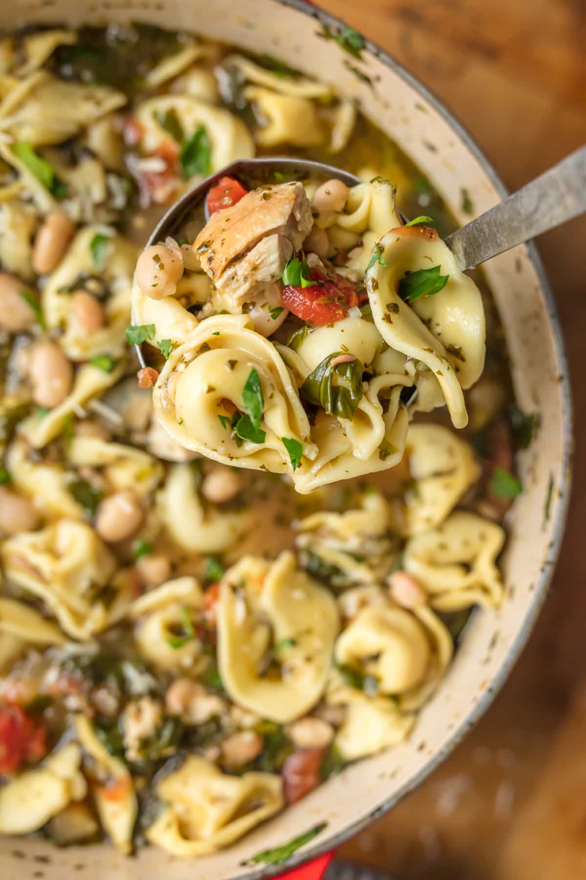 A ladle full of chicken tortellini soup