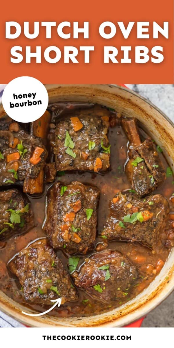 dutch oven short ribs pin