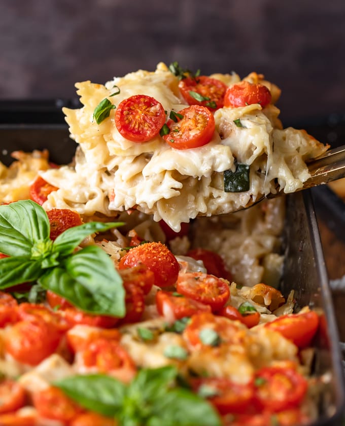 A spoonful of chicken alfredo casserole