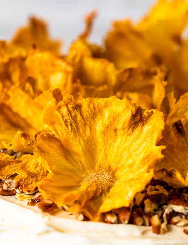 Dried Pineapple Flowers are a surprisingly easy way to make any cake look like it was decorated by a professional! Learn how to make flowers for cake out of pineapple, and every cake will look extra amazing for holidays and special occasions. Plus these dried pineapple slices make a great snack!