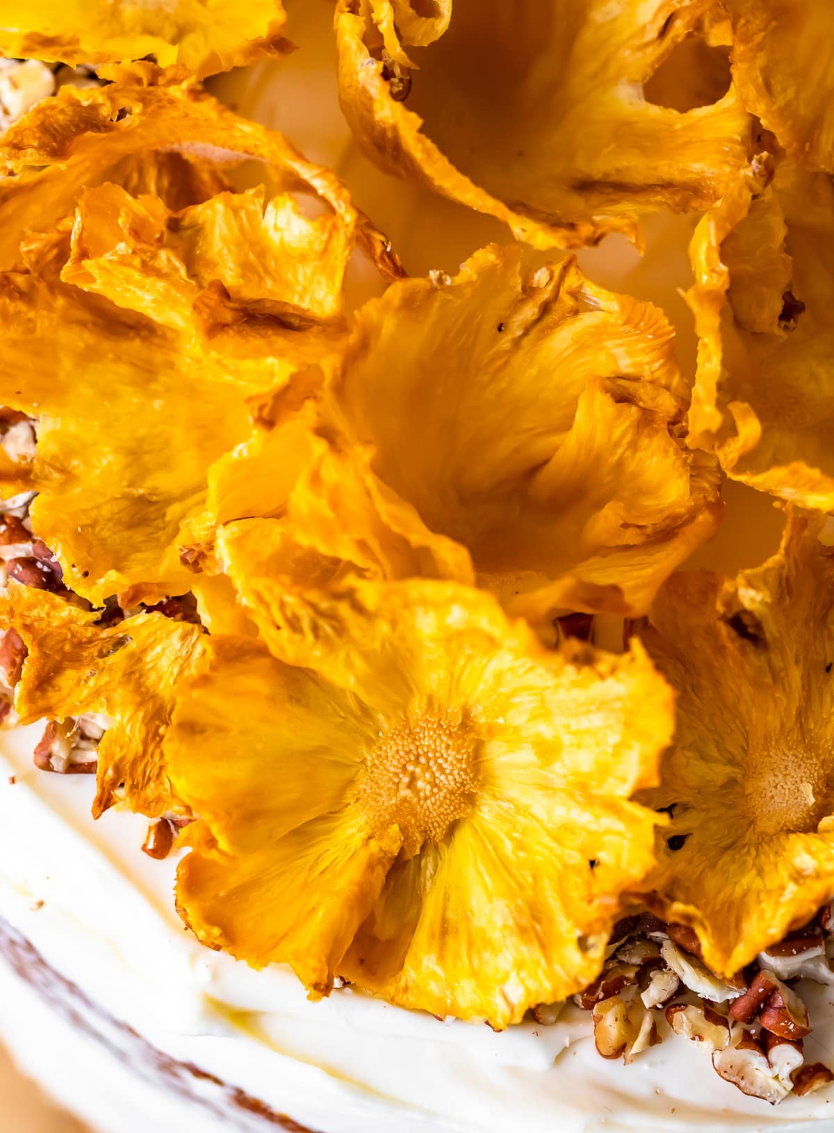 close up on dried pineapple flowers