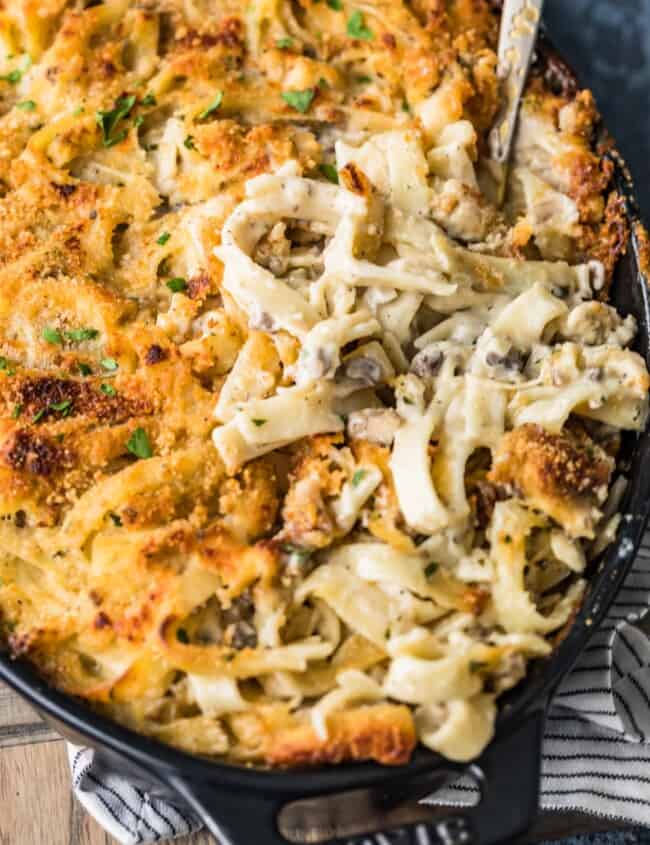 A close up of food, with Chicken and Tetrazzini