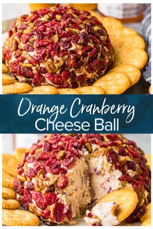 christmas cheese ball pinterest photo