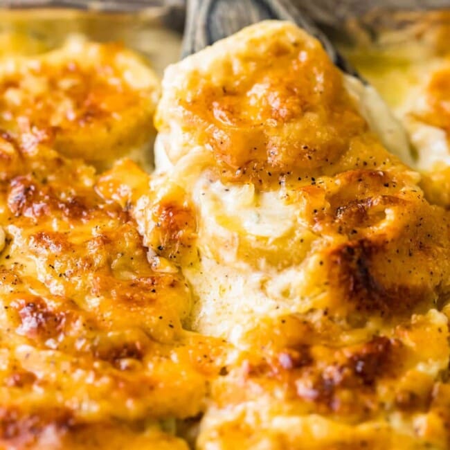 scalloped potatoes