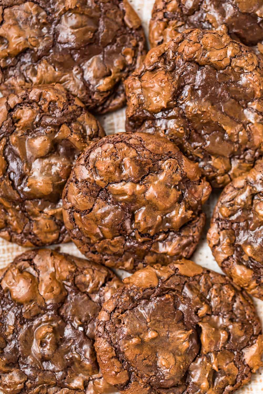 close up view of chocolatey fudgy brownie cookies