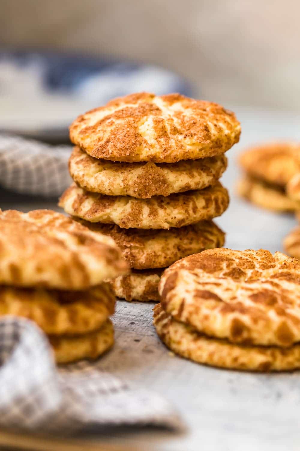 Cookies with a cinnamon sugar coating