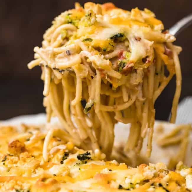 creamy chicken spaghetti on a spoon