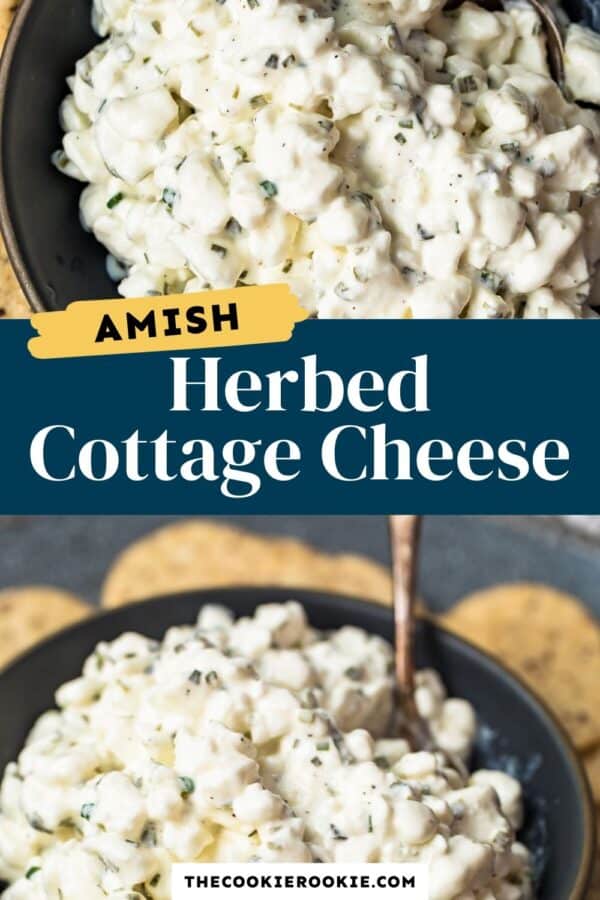 amish cottage cheese recipe pinterest