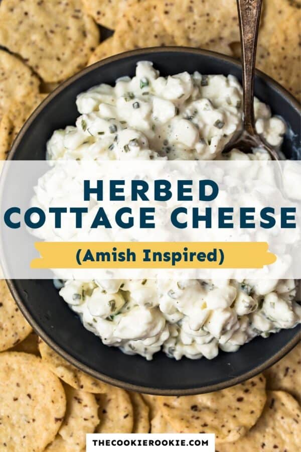 amish cottage cheese recipe pinterest