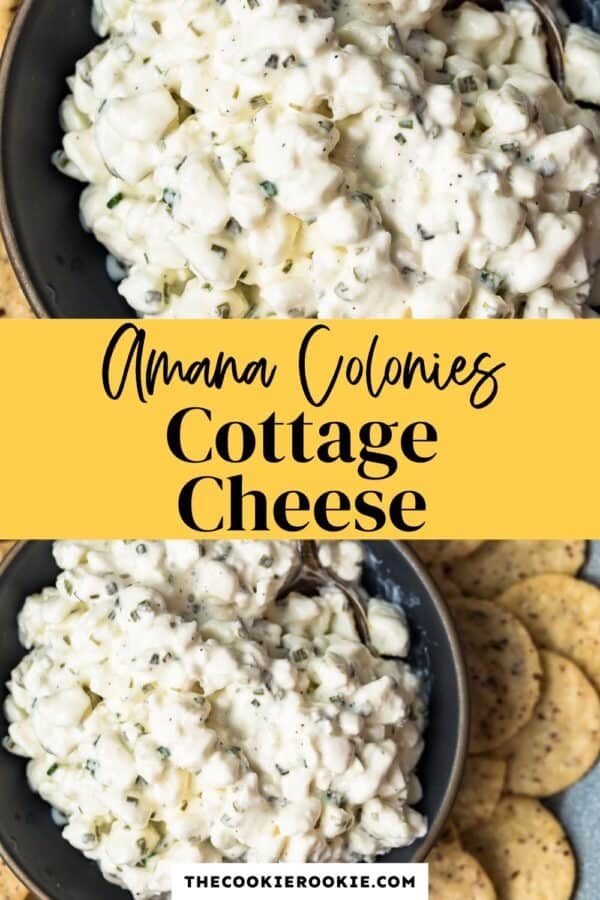 amish cottage cheese recipe pinterest