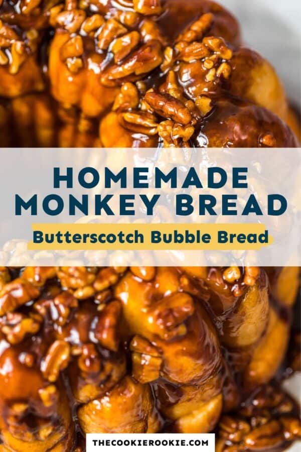 https://thecookierookiecom.bigscoots-staging.com/butterscotch-monkey-bread-recipe-bubble-bread/‎(opens in a new tab)