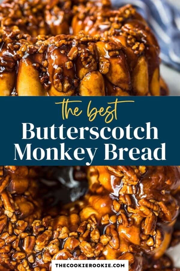 https://thecookierookiecom.bigscoots-staging.com/butterscotch-monkey-bread-recipe-bubble-bread/‎(opens in a new tab)