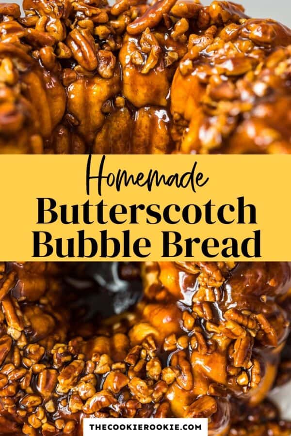 https://thecookierookiecom.bigscoots-staging.com/butterscotch-monkey-bread-recipe-bubble-bread/‎(opens in a new tab)