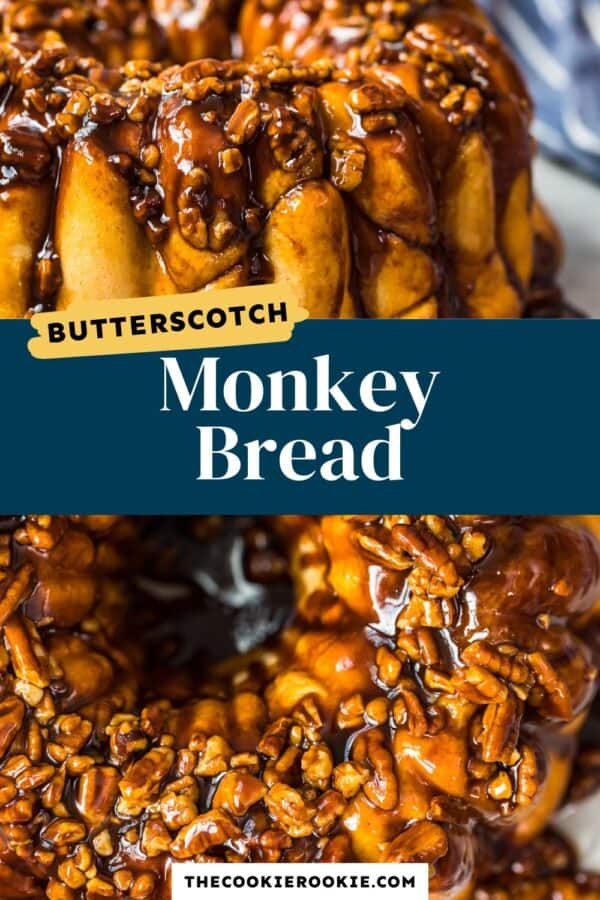 https://thecookierookiecom.bigscoots-staging.com/butterscotch-monkey-bread-recipe-bubble-bread/‎(opens in a new tab)