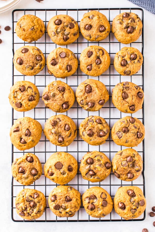 pumpkin chocolate chip cookies on cooling rack