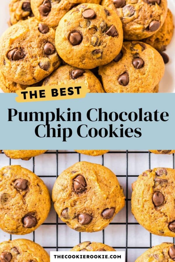 pumpkin chocolate chip cookies pinterest collage