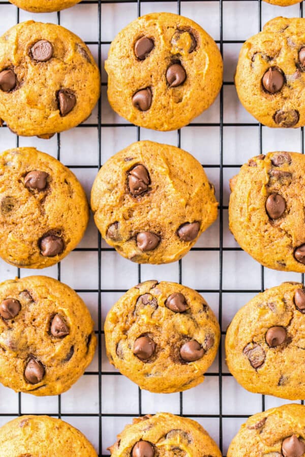 pumpkin chocolate chip cookies cooling on racks