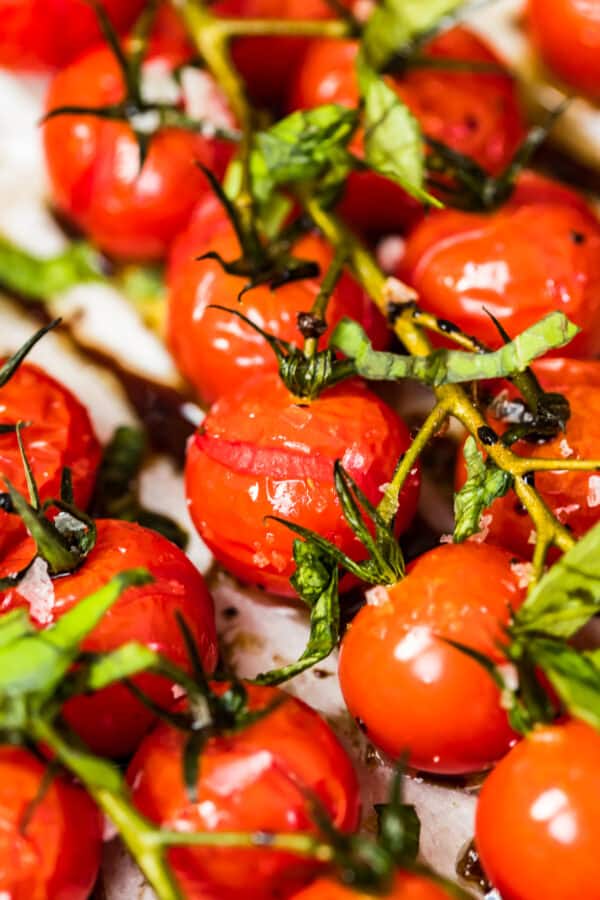 up close image of roasted tomatoes on the vine