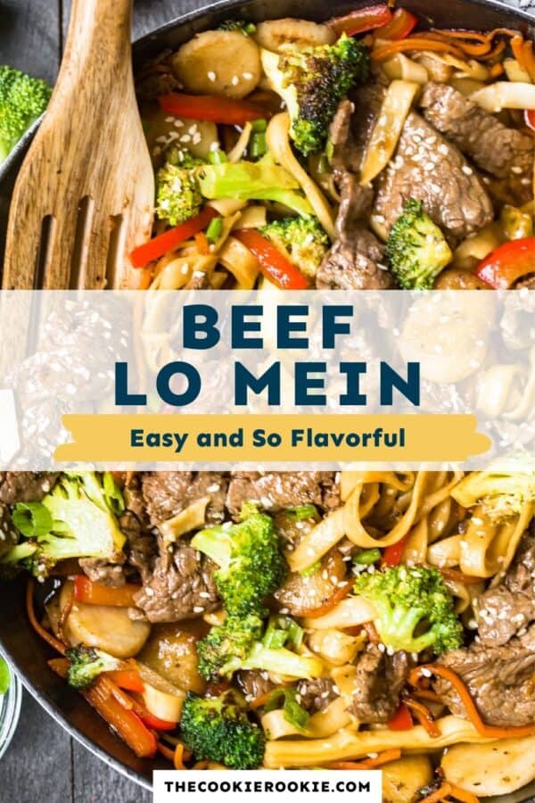 beef lo mein pinterest collage