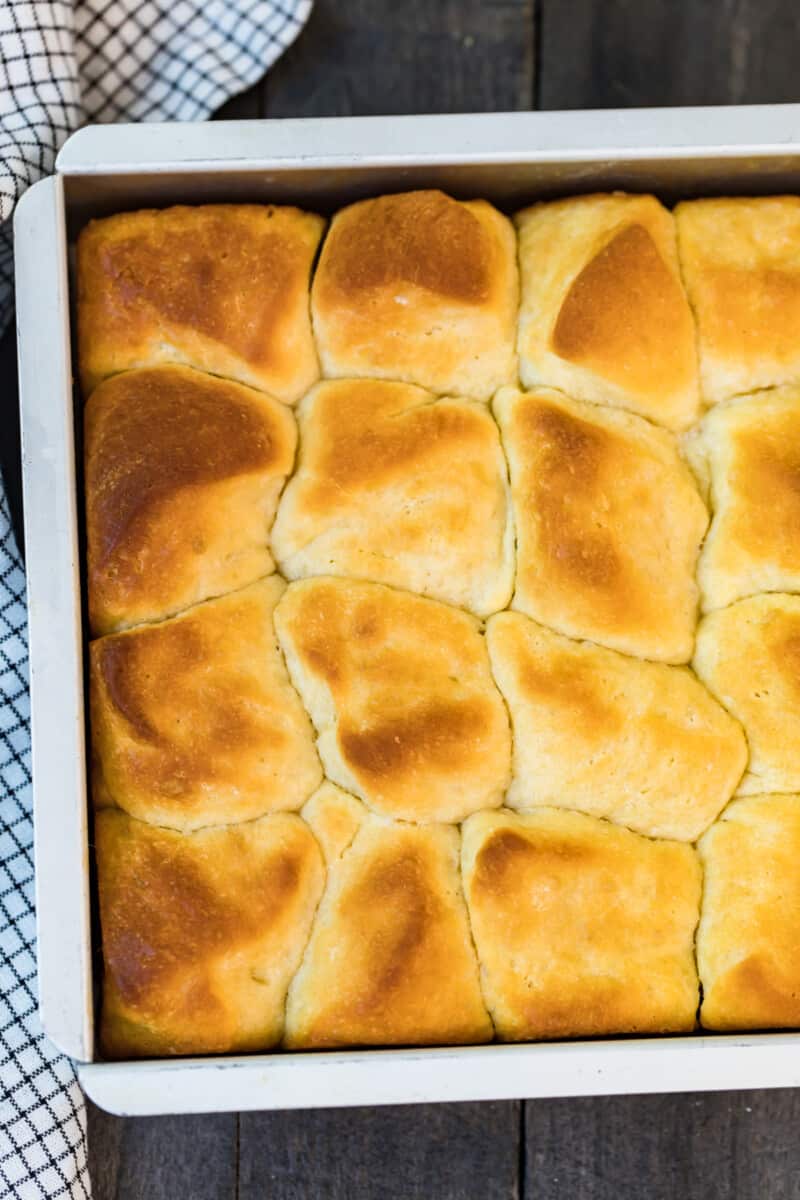 overhead image of yeast rolls in pan