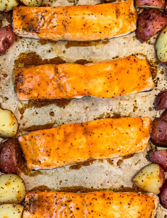 maple glazed salmon on sheet pan