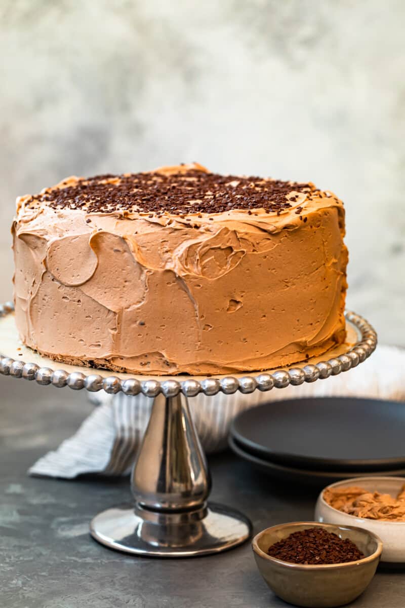 chocolate cake with chocolate frosting and sprinkles