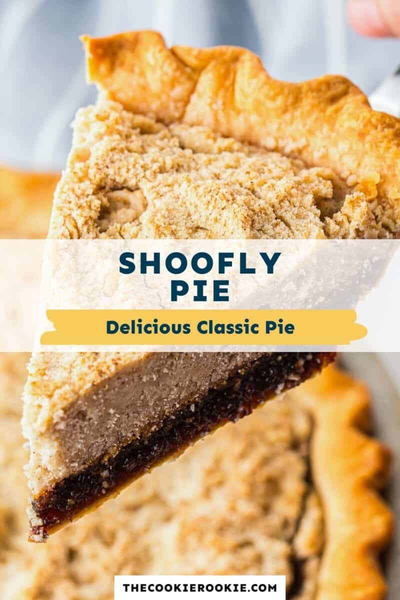 shoofly pie pinterest collage