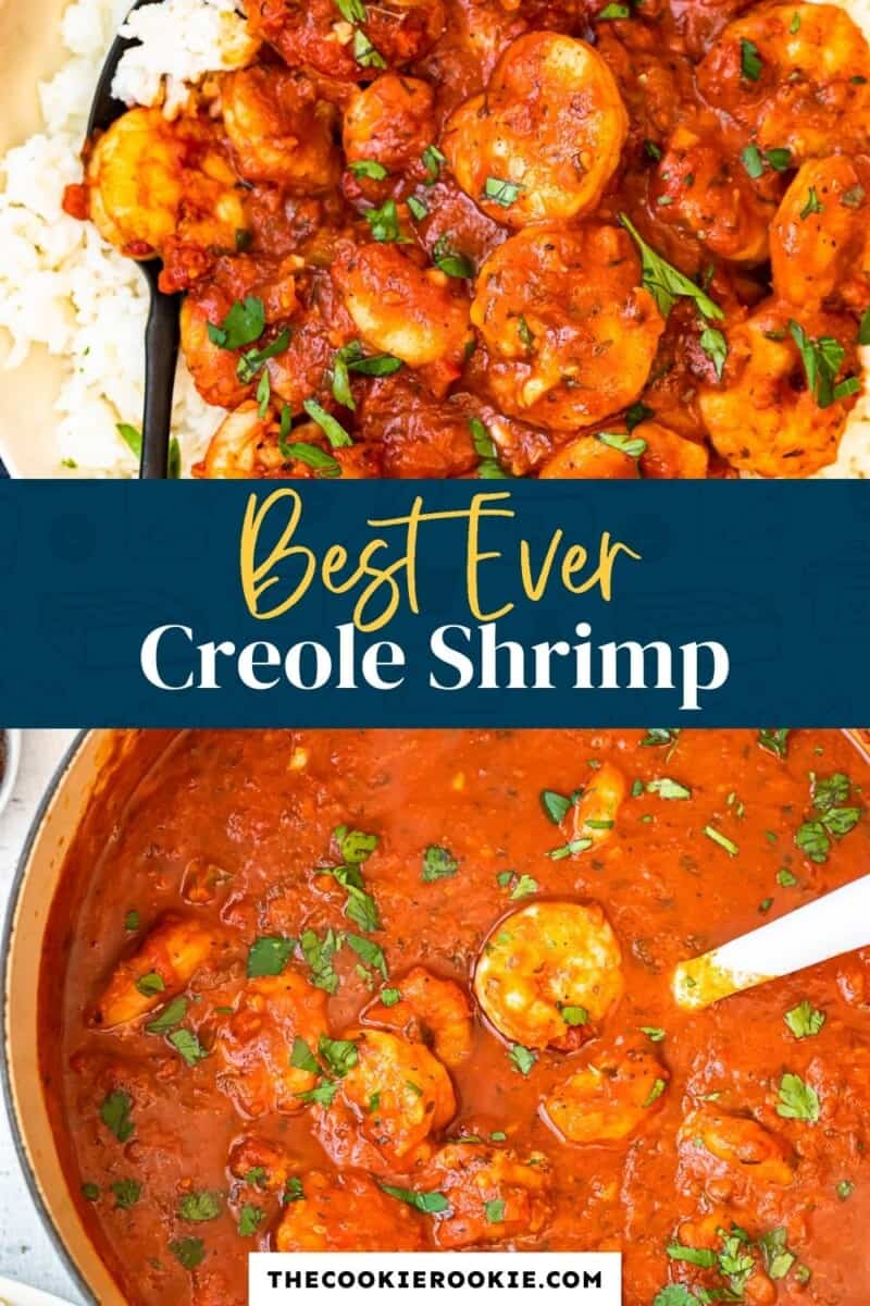 shrimp creole pinterest collage