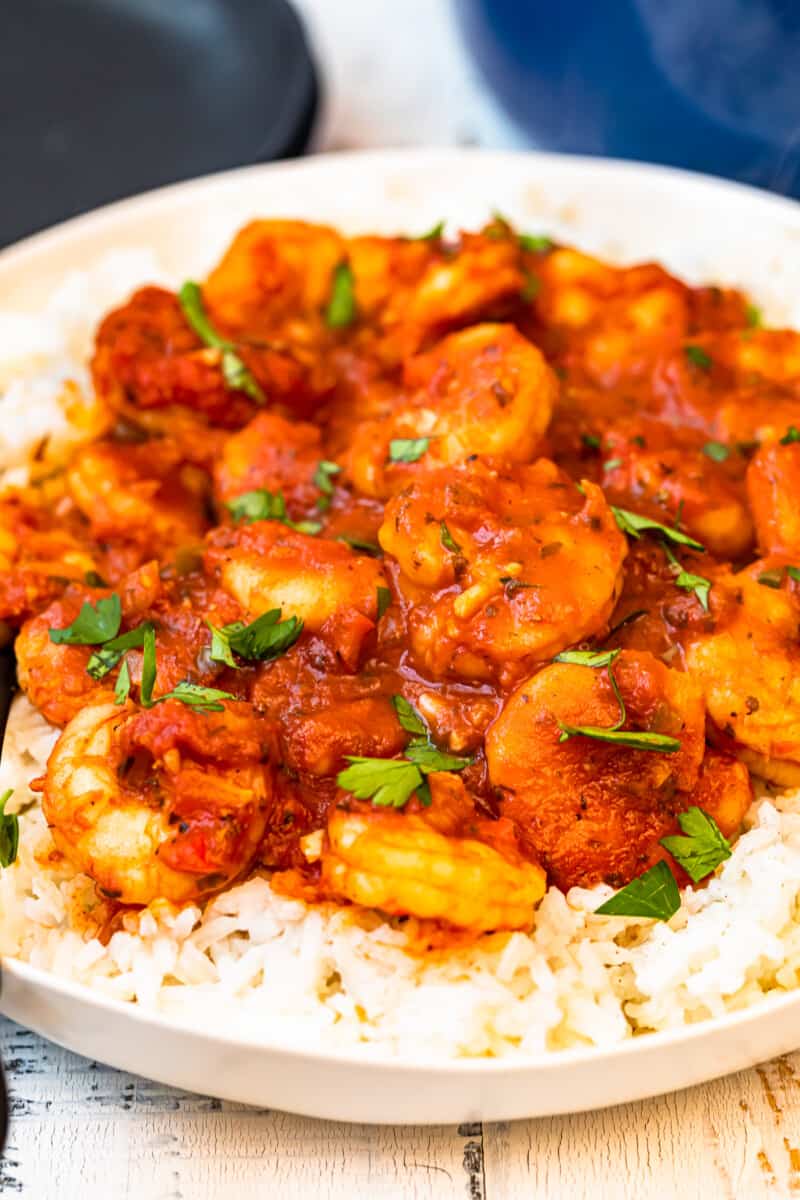 creole shrimp served over rice