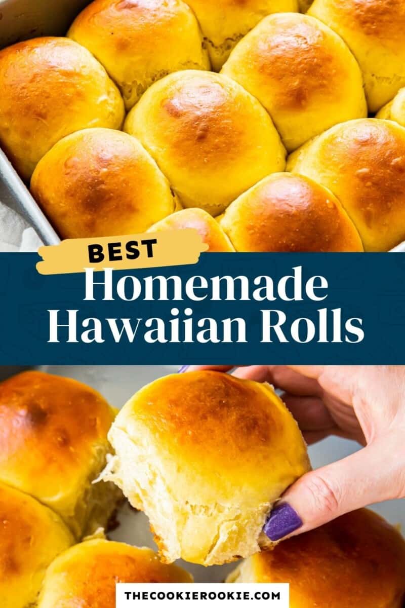 homemade hawaiian rolls pinterest