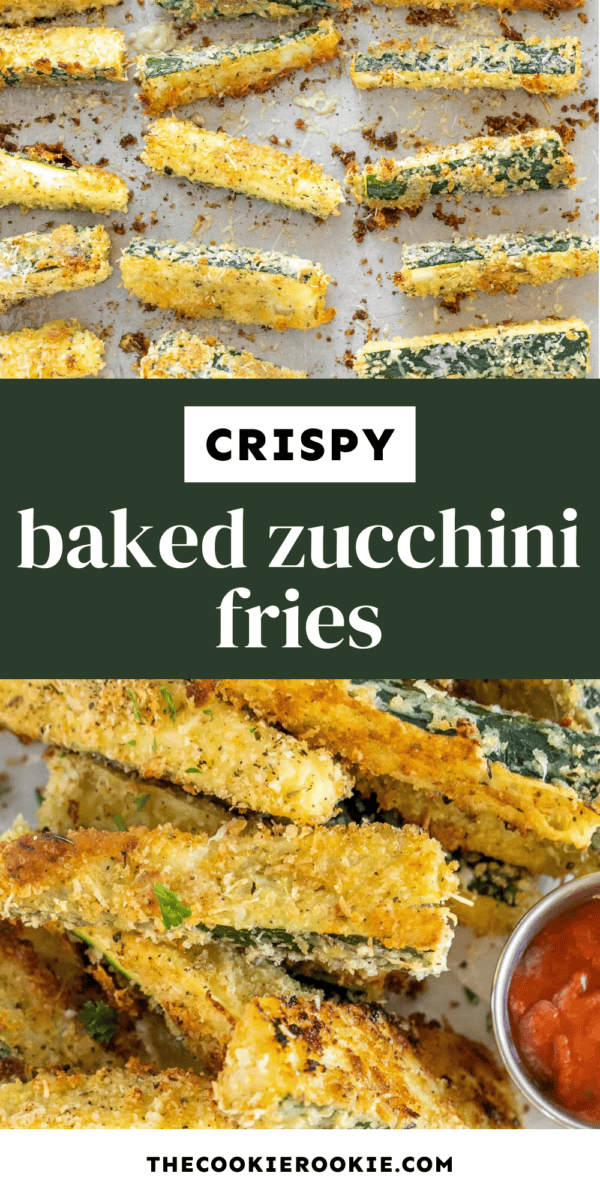 baked zucchini fries pin