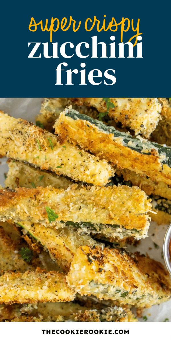 baked zucchini fries pin