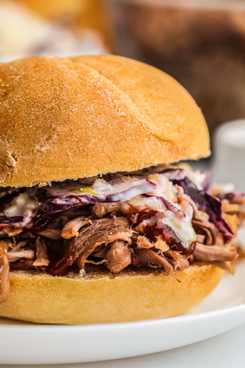 up close smoked pulled pork sandwich