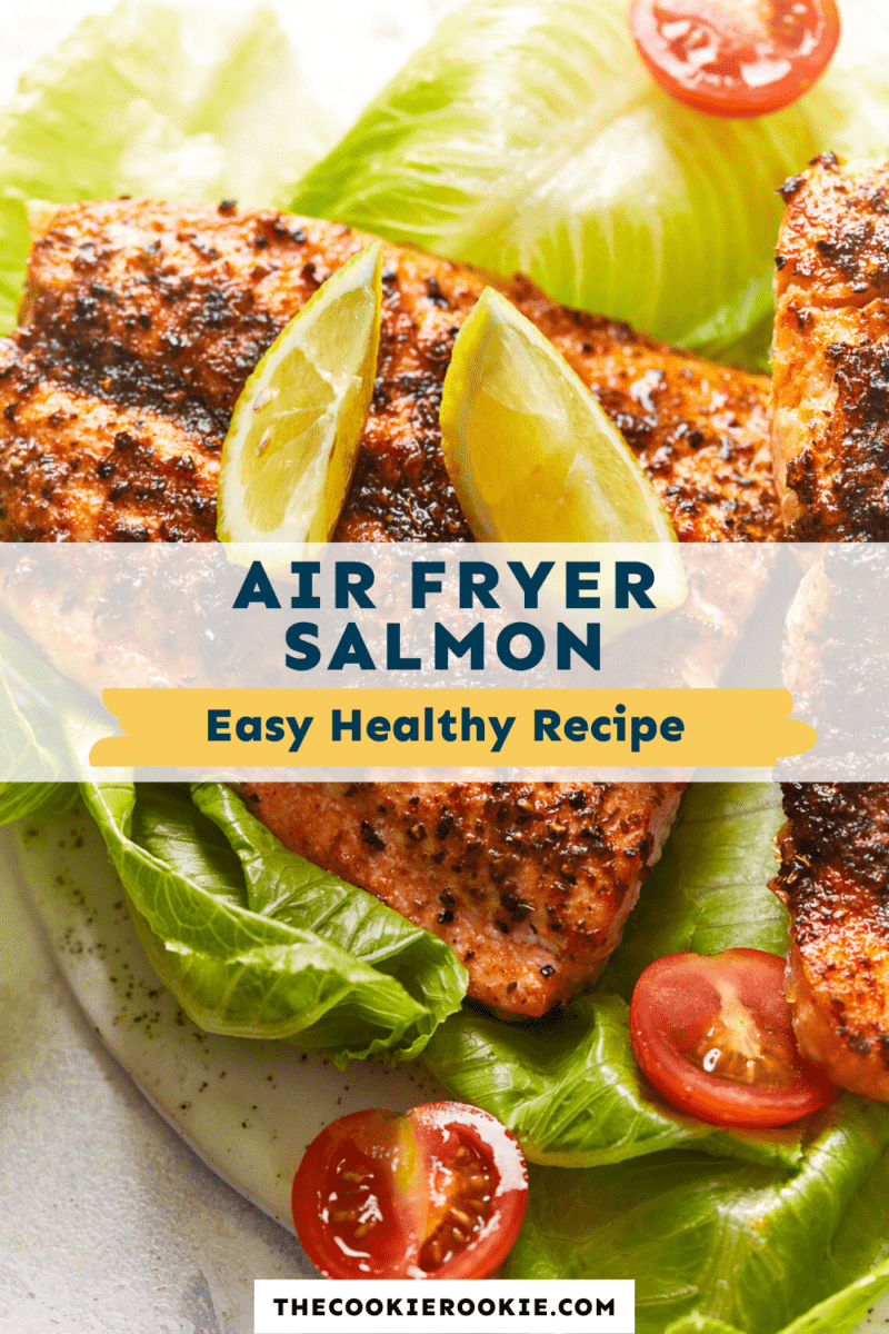 air fryer salmon pinterest.