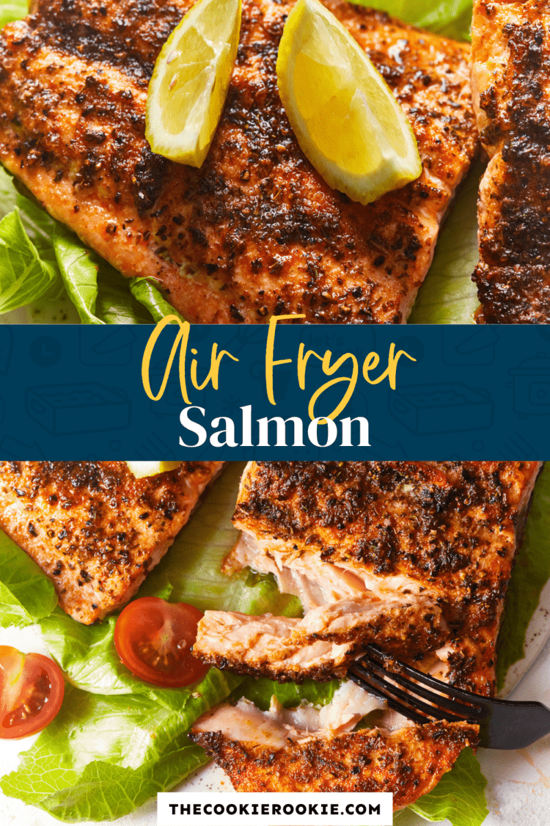 air fryer salmon pinterest.