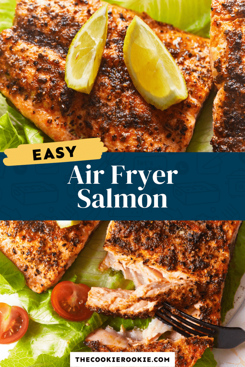 air fryer salmon pinterest.