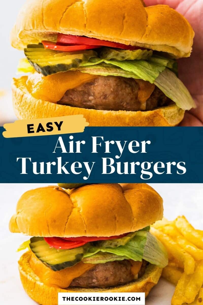 air fryer turkey burgers pinterest