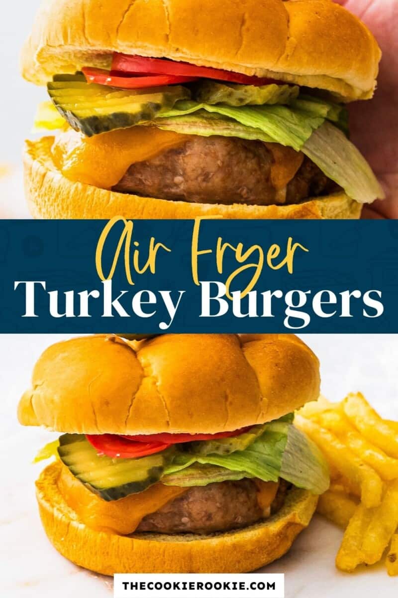 air fryer turkey burgers pinterest