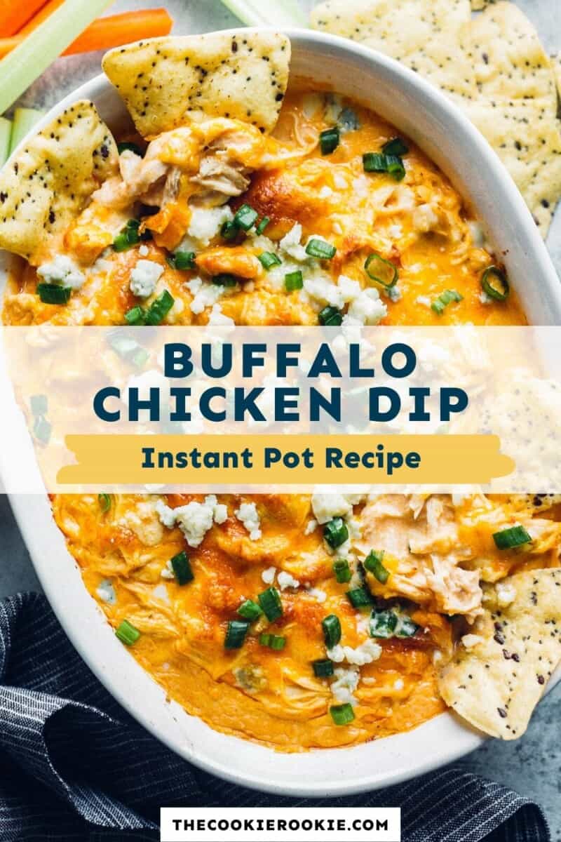 instant pot buffalo chicken dip pinterest